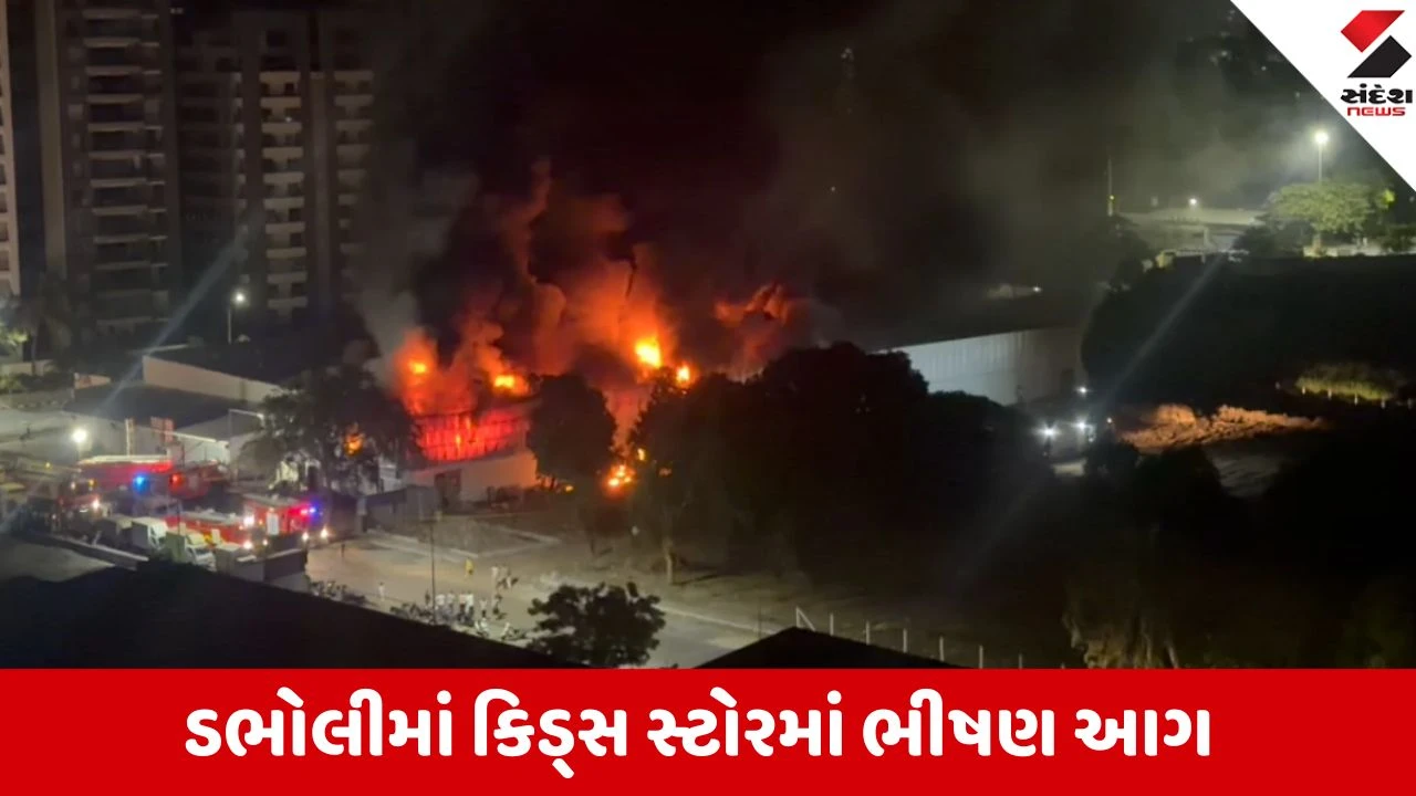 ડભોલી કિડ્સ સ્ટોરમાં આગ: લાખોનું નુકસાન.