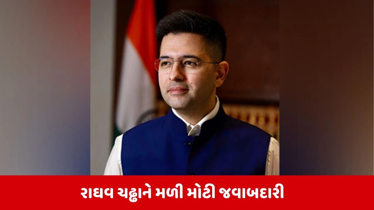 Raghav Chadhaને મળ્યું મહત્વનું પદ, નિભાવશે હવે ખાસ જવાબદારી