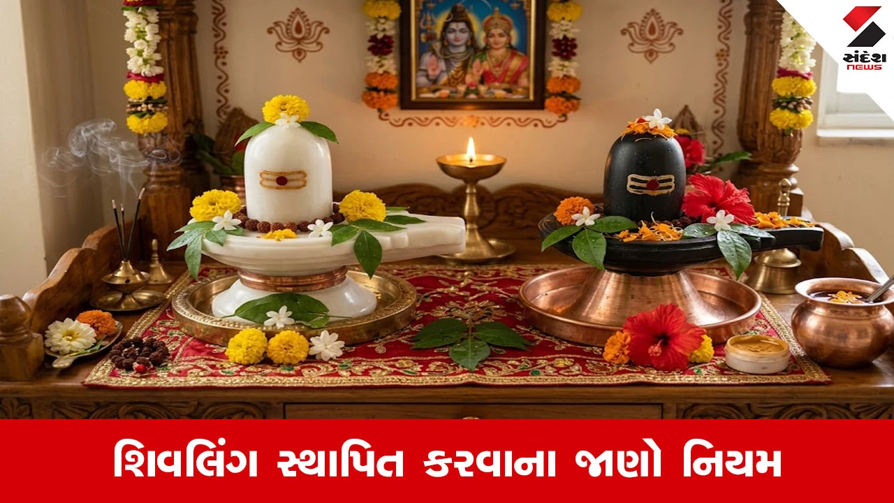 Shivling : કાળુ કે સફેદ ઘરમાં ક્યુ શિવલિંગ રાખવાથી થાય ફાયદો