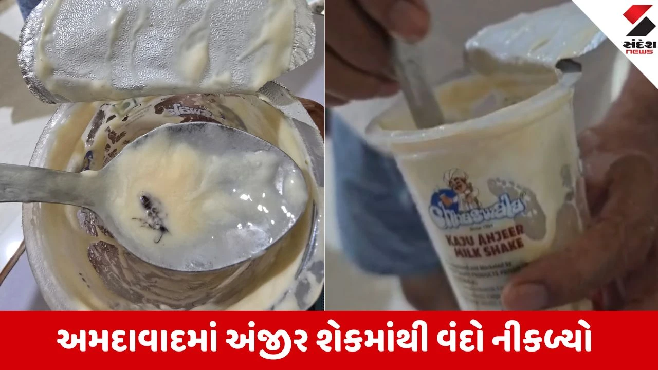 Ahmedabad: IIM રોડ પર આવેલી 'છાસ વાલા' ના અંજીર મિલ્કશેકમાંથી નીકળ્યો મરેલો વંદો