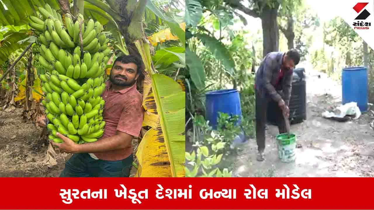 Agriculture News : પિતાનું કેન્સરથી મૃત્યુ થતા કલ્પેશ પટેલે પ્રાકૃતિક ખેતી અપનાવી, કેળની ખેતીમાં કરે છે મોટી કમાણી