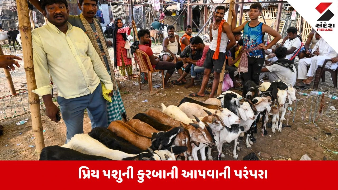 Bakrid:ભારતમાં 8% અને ઇન્ડોનેશિયામાં 2% મુસ્લિમો છે શાકાહારી, જાણો તેઓ કેવી રીતે ઉજવે છે બકરીઈદ