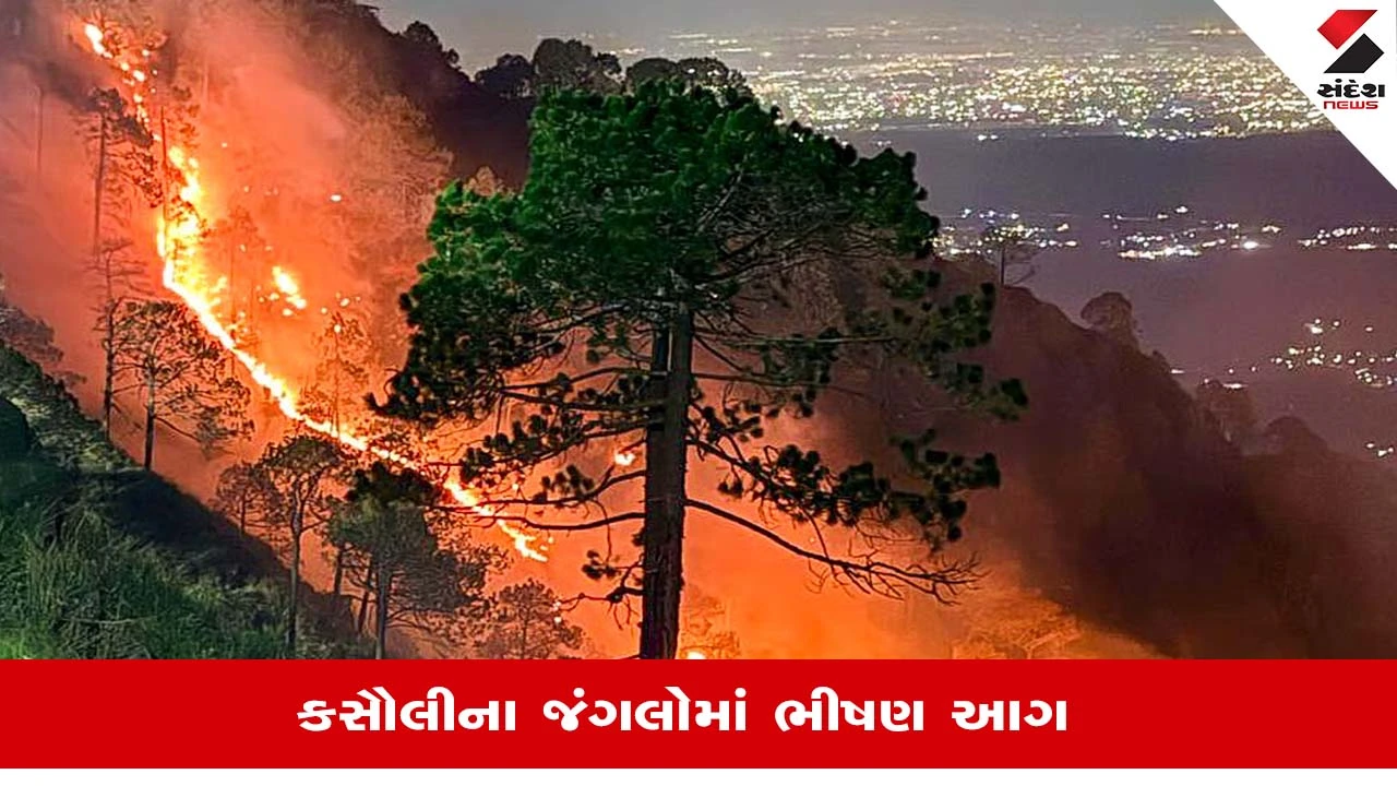 Kasauli Forest Fire: જંગલોની આગ પર કાબૂ મેળવવો આટલો મુશ્કેલ કેમ?, જાણો