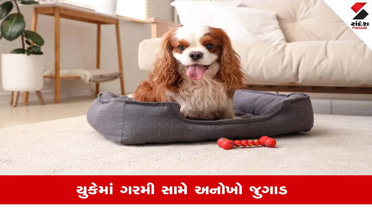 Britainમાં 35 ડિગ્રી ગરમીથી હાહાકાર, લોકો ફ્રીઝ કરવા લાગ્યા ટુવાલ, જાણો કેમ?