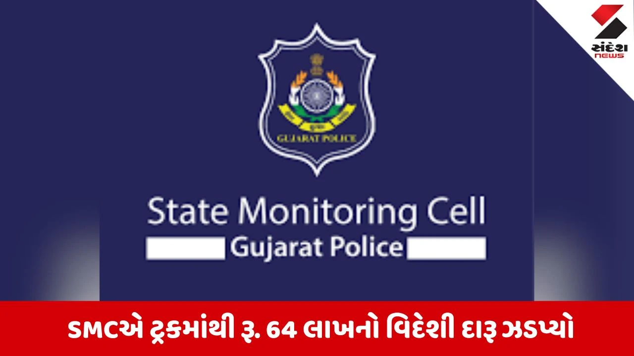 Vadodara News: 28 હજારથી વધુ દારૂની બોટલો સાથે ટ્રક ચાલક ઝડપાયો, 3 બુટલેગર વોન્ટેડ