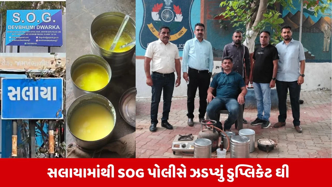 Dwarka News: સલાયામાં અસલી દેશી ઘીના નામે વેચાતું હતું 'કેમિકલવાળું ડુપ્લિકેટ ઘી'
