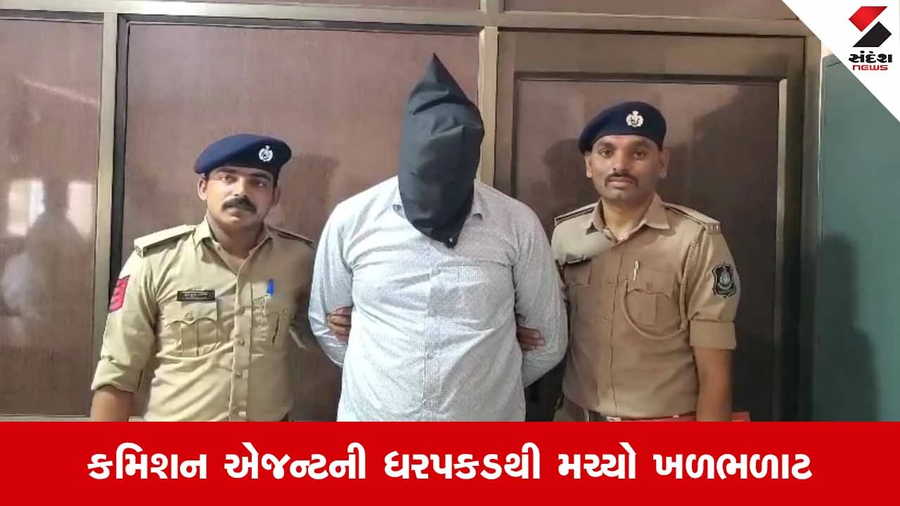 Aravalli News: કમિશનની લાલચે બેંક એકાઉન્ટ ભાડે આપનાર શખ્સની સાયબર ક્રાઇમ પોલીસે કરી ધરપકડ