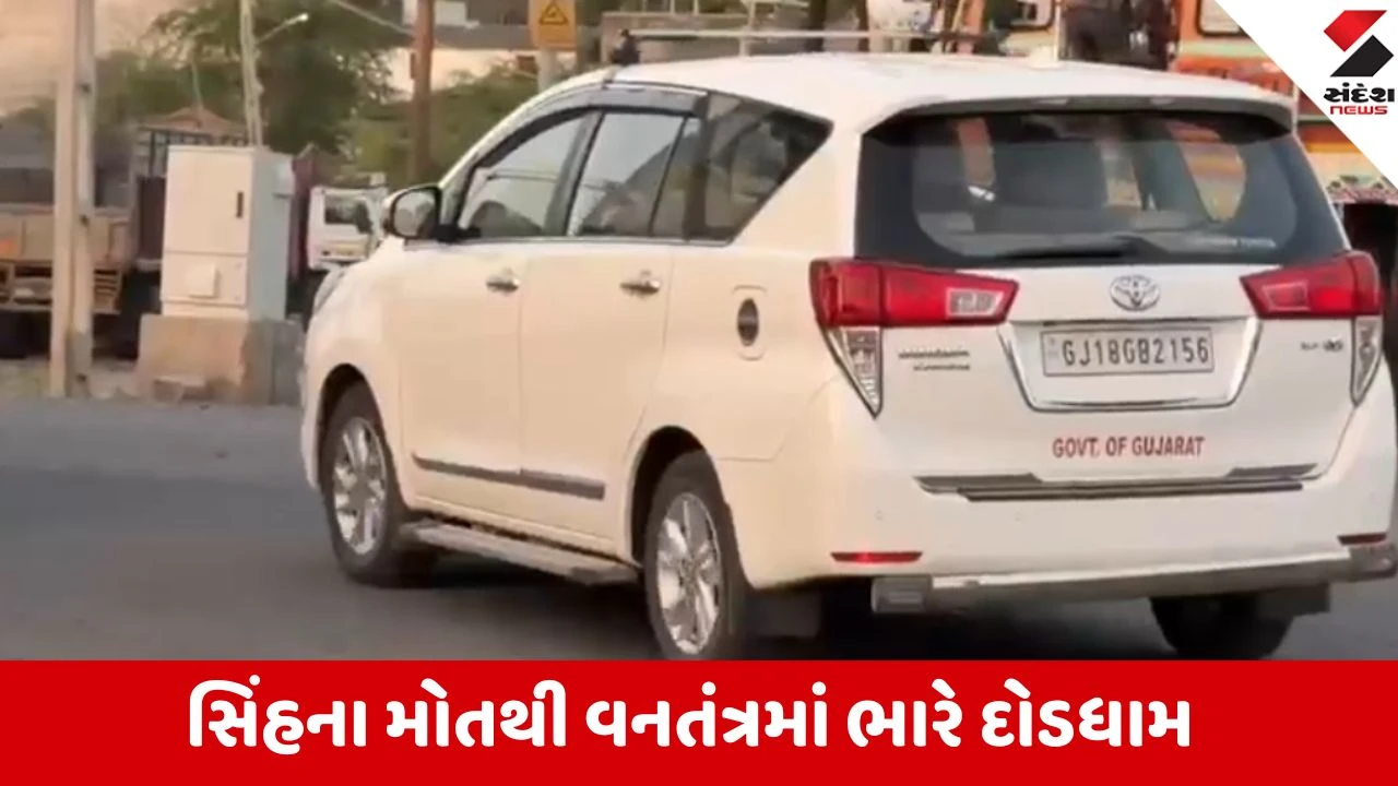 Amreli: ગીરમાં સિંહના મોતથી વન વિભાગના સર્વોચ્ચ અધિકારીઓ દોડી આવ્યા, વનતારા ટીમ પણ તપાસમાં જોતરાઈ