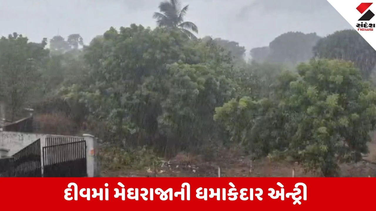 Diu: દીવમાં વહેલી સવારથી ધોધમાર વરસાદ, પાવર કટ થતાં પ્રવાસીઓ અને સ્થાનિકો મુશ્કેલીમાં