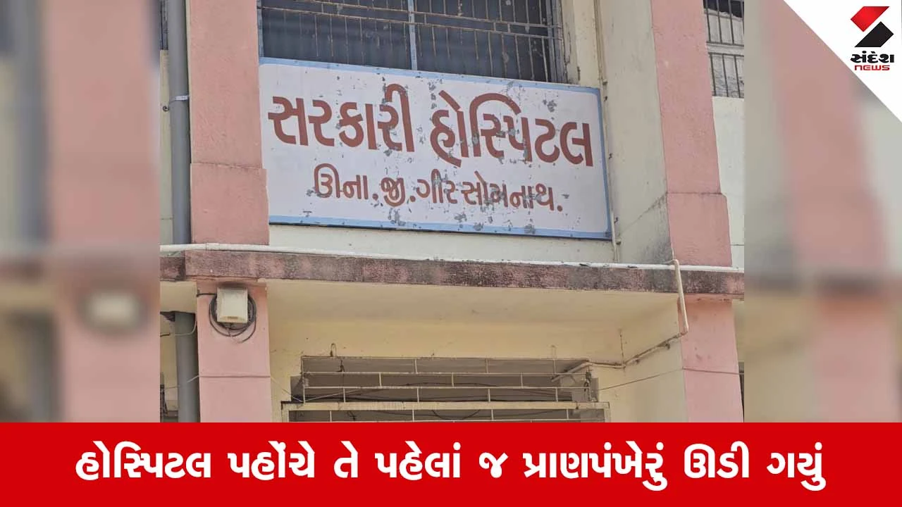 Una News: મછુન્દ્રી નદીમાં નાહવા પડેલા યુવાનનું પગ લપસતાં ડૂબી જવાથી કરુણ મોત 