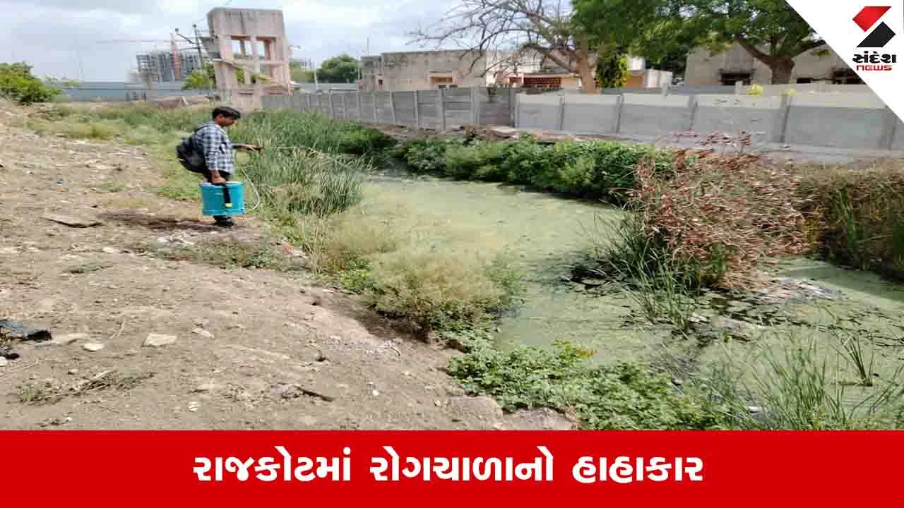 Rajkot news: શહેરમાં રોગચાળો વકર્યો, શરદી ઉધરસ અને ઝાડા ઉલ્ટીના કેસમાં મોટો વધારો