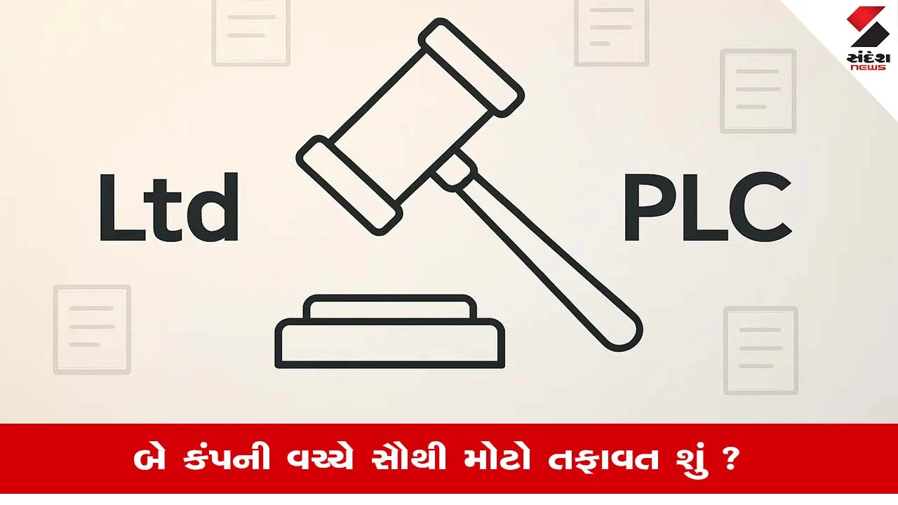 Private Limited અને Public Limited Company: રોકાણ કરતા પહેલા જાણો મુખ્ય તફાવતો