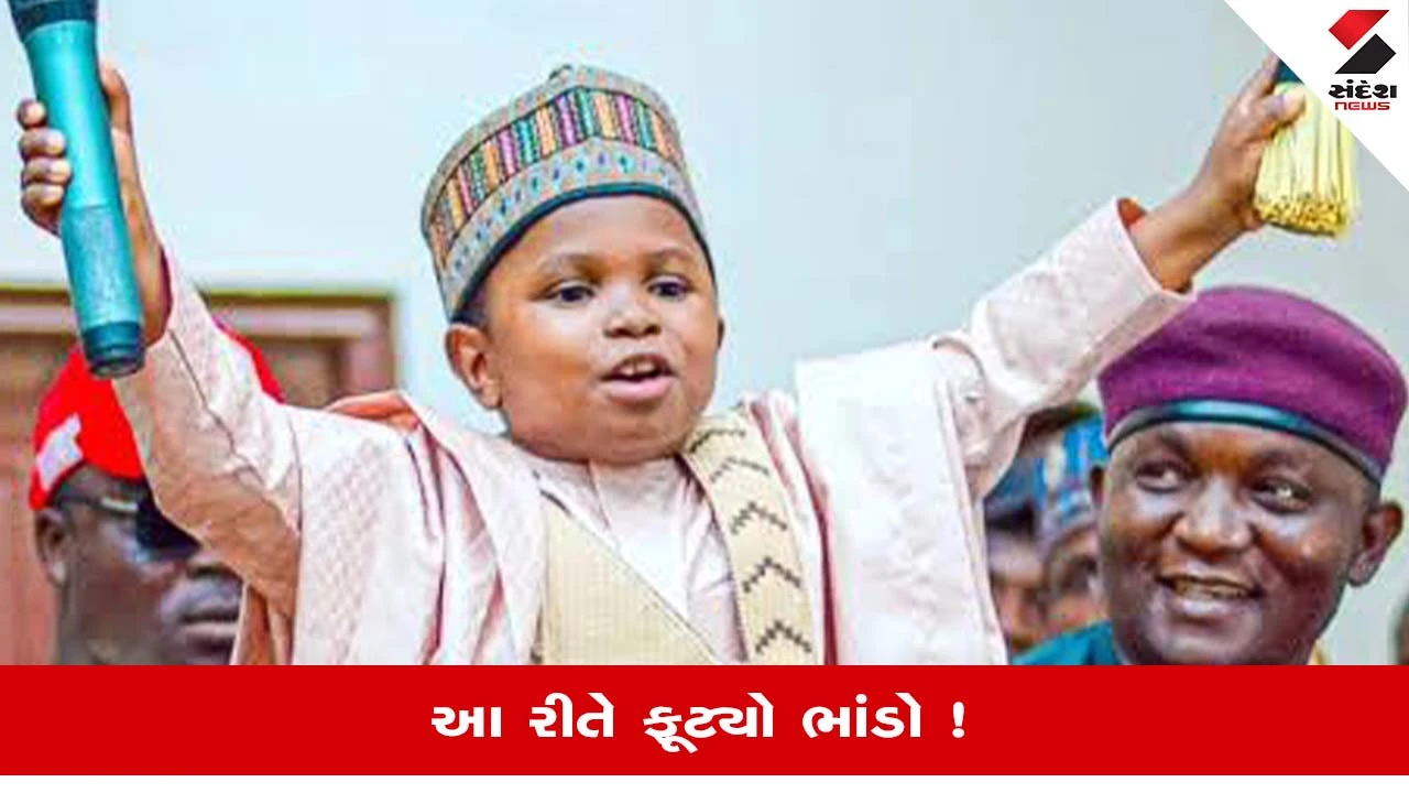 Nigeria News: 16 વર્ષનો કિશોર પોતાને 30 વર્ષનો ગણાવી બનવા ઇચ્છતો હતો નેતા, પછી શુ થયુ?, જાણો