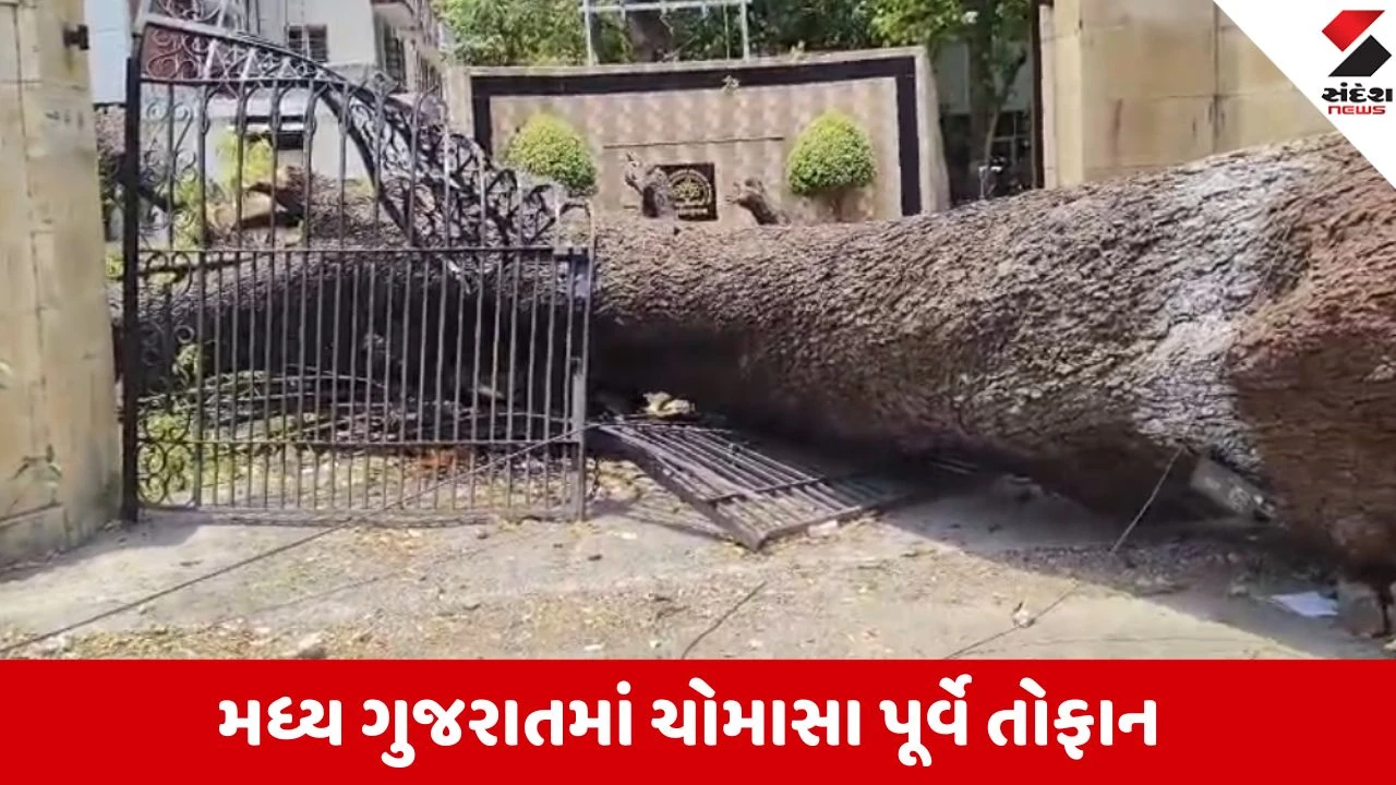 મધ્ય ગુજરાતમાં પ્રી-મોન્સૂન વાવાઝોડાની ભયાનક અસર.