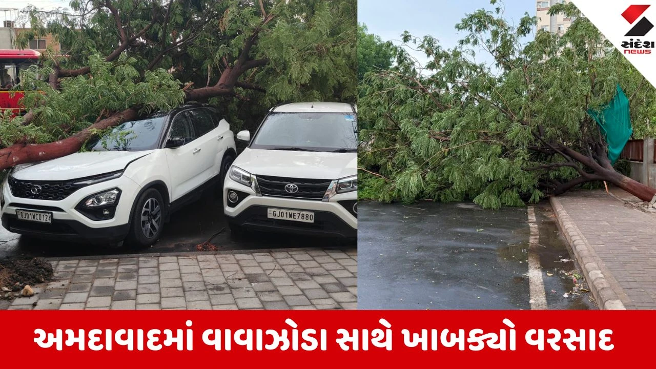 અમદાવાદમાં મધરાત્રે વાવાઝોડા સાથે ધોધમાર વરસાદ