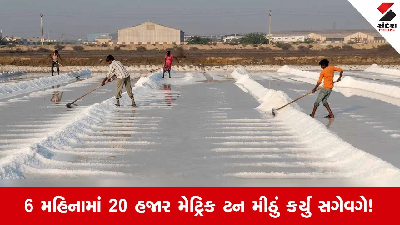 Kutch News: ભચાઉમાં અઢી કરોડનું મસમોટું મીઠા કૌભાંડ ઝડપાયું, 15 શખ્સો સામે ગુનો દાખલ 