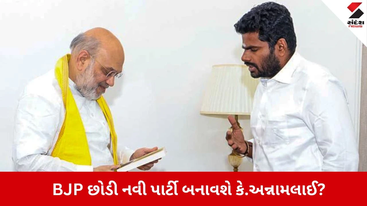 IPS અધિકારીથી ફાયરબ્રાન્ડ નેતા સુધી: કે. અન્નામલાઈ અને તેમની નવી રાજકીય સફર