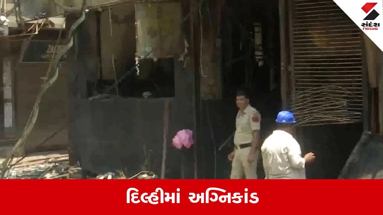 Delhi Fire Live: માલવીય નગરમાં હોટલમાં ભીષણ આગ લાગતા 21ના મોત, PMએ દુઃખ વ્યક્ત કર્યુ