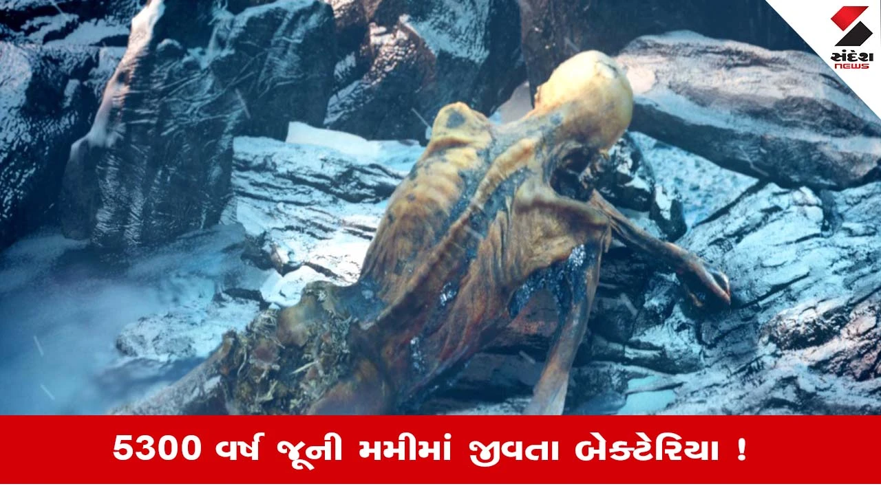 5300 વર્ષ જૂની Otzi the Iceman મમીમાંથી મળ્યા જીવતા બેક્ટેરિયા, પ્રાચીન રહસ્યો ખુલશે