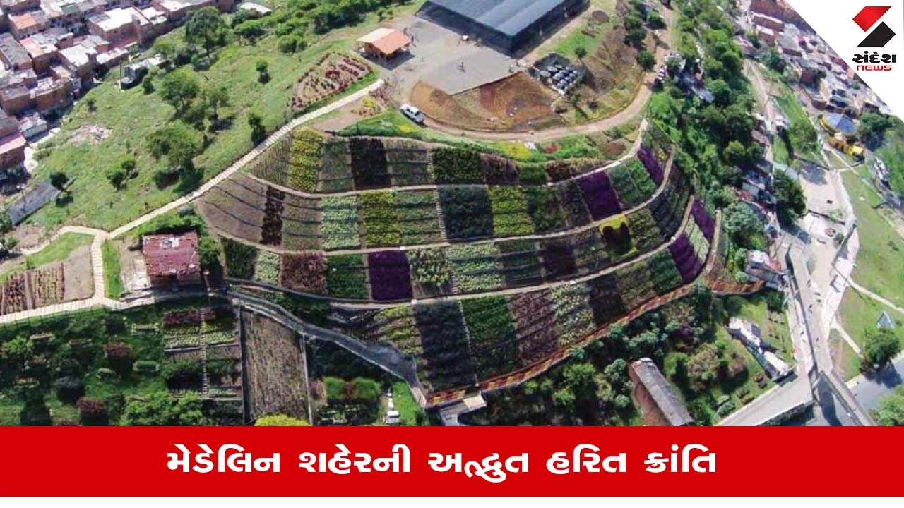 ગ્રીન કોરિડોર પ્રોજેક્ટ: લાખો વૃક્ષો વાવી મેડેલિન શહેરે તાપમાન 4 ડિગ્રી ઘટાડ્યું, UN પણ પ્રભાવિત