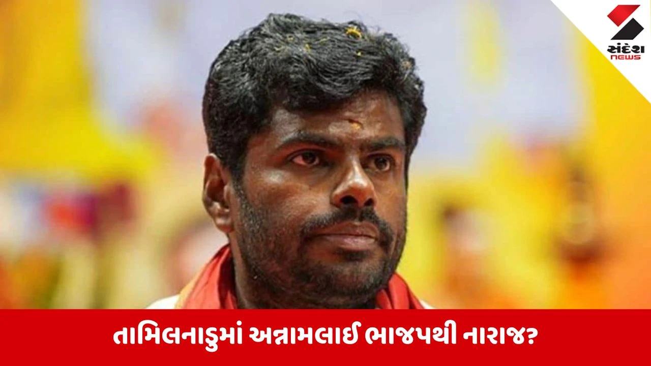 BJP:તામિલનાડુમાં ભાજપનો સાથ છોડશે કે. અન્નામલાઈ, 5 જૂને નવી પાર્ટીની કરી શકે છે જાહેરાત!