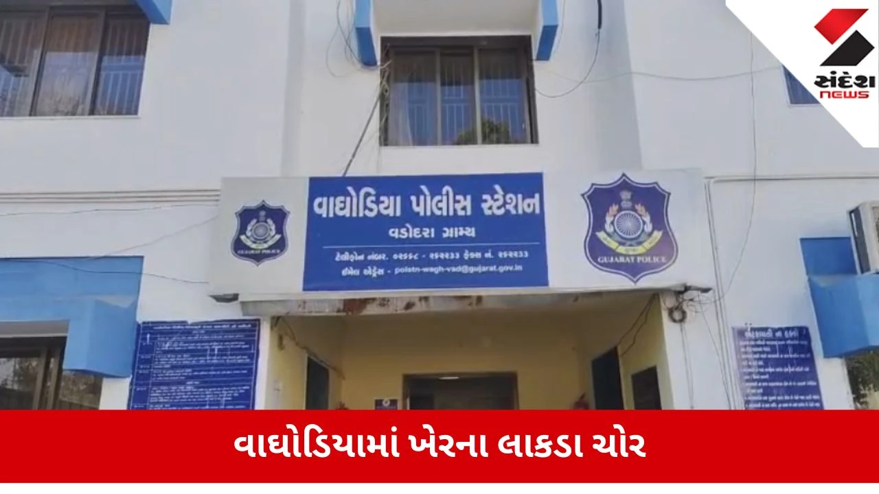 Vadodara : વાઘોડિયાના વલવા ગામમાં કિંમતી ખેરના લીલા ઝાડ કાપતા બે ચોર રંગેહાથ ઝડપાયા