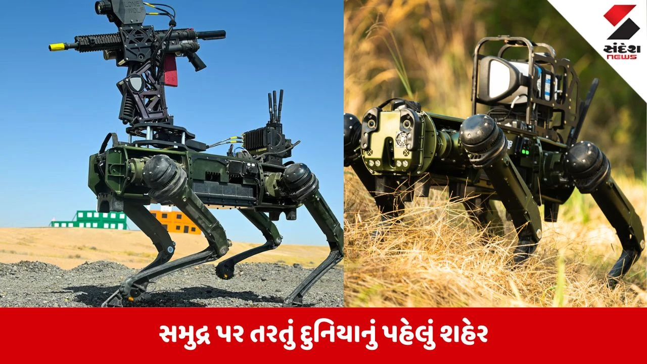 ચીન સામે લડવા તાઇવાન તૈનાત કરશે આધુનિક રોબોટ આર્મી શ્વાન
