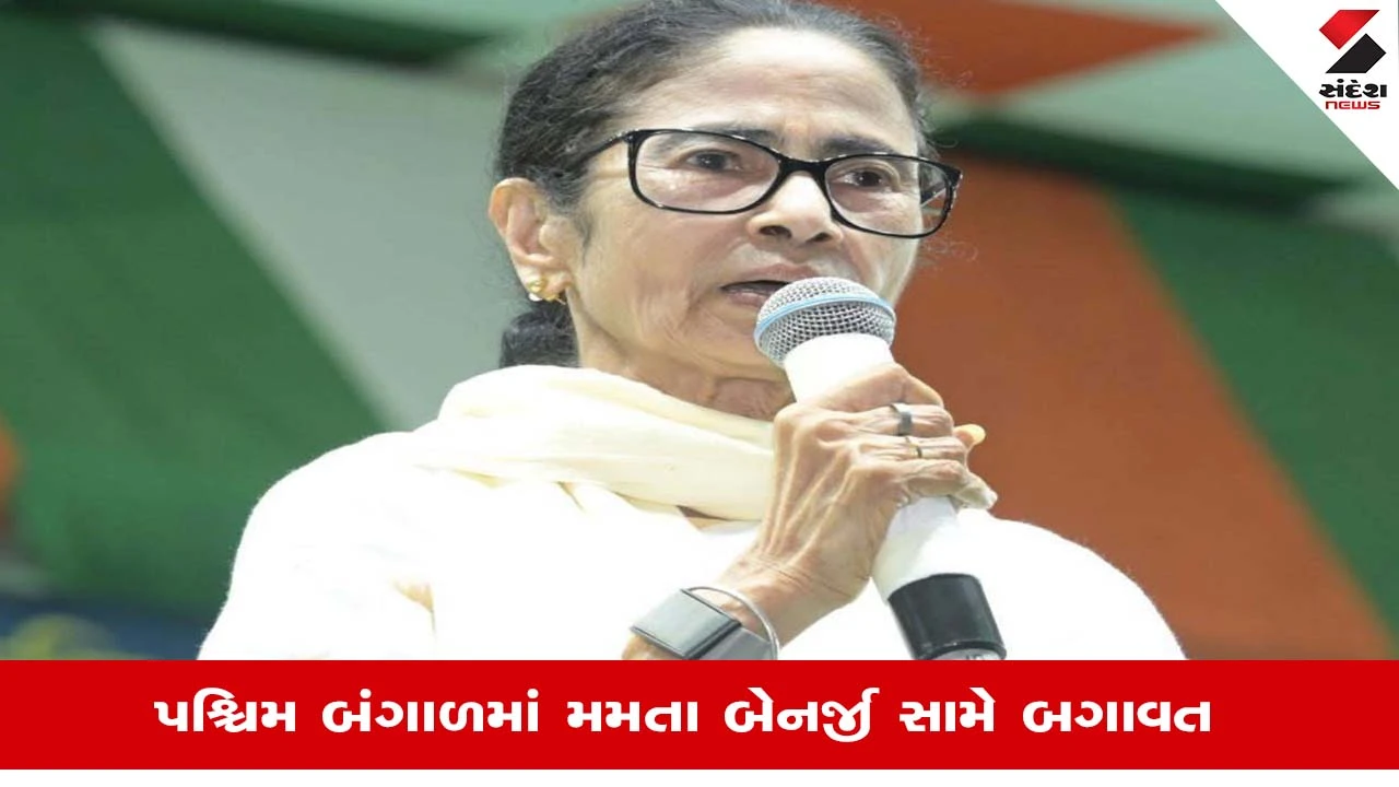 West Bengal News: મમતા બેનર્જીના સૌથી મજબૂત કિલ્લામાં તિરાડ! આ 17 મુસ્લિમ ધારાસભ્ય નક્કી કરશે દીદીનું ભવિષ્ય