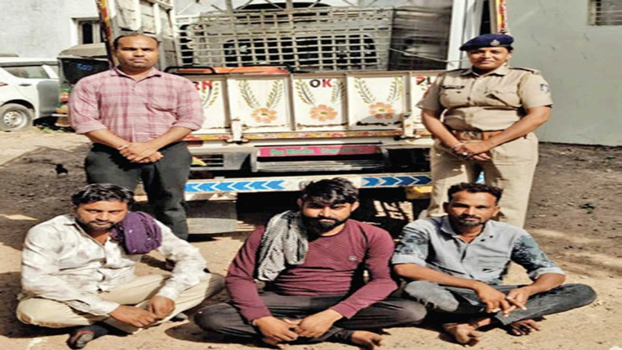 વિસનગરના કડા ગામમાં સોલાર પ્લાન્ટની ચોરી