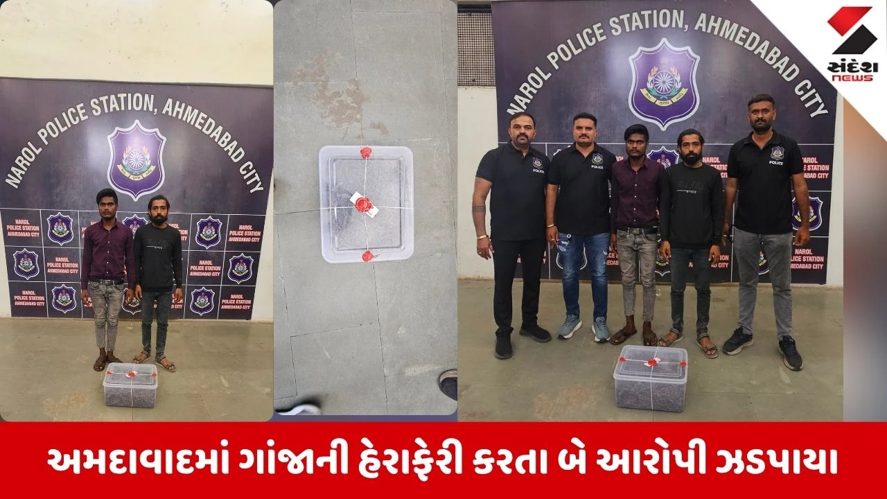 Ahmedabad News: નારોલ પોલીસની મોટી કાર્યવાહી, 3 કિલો ગાંજા સાથે બે ઝડપાયા