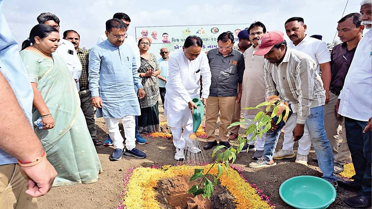 હિંમતનગર: નવાનગરમાં વિશ્વ પર્યાવરણ દિવસની ઉજવણી, વૃક્ષારોપણનો સંકલ્પ