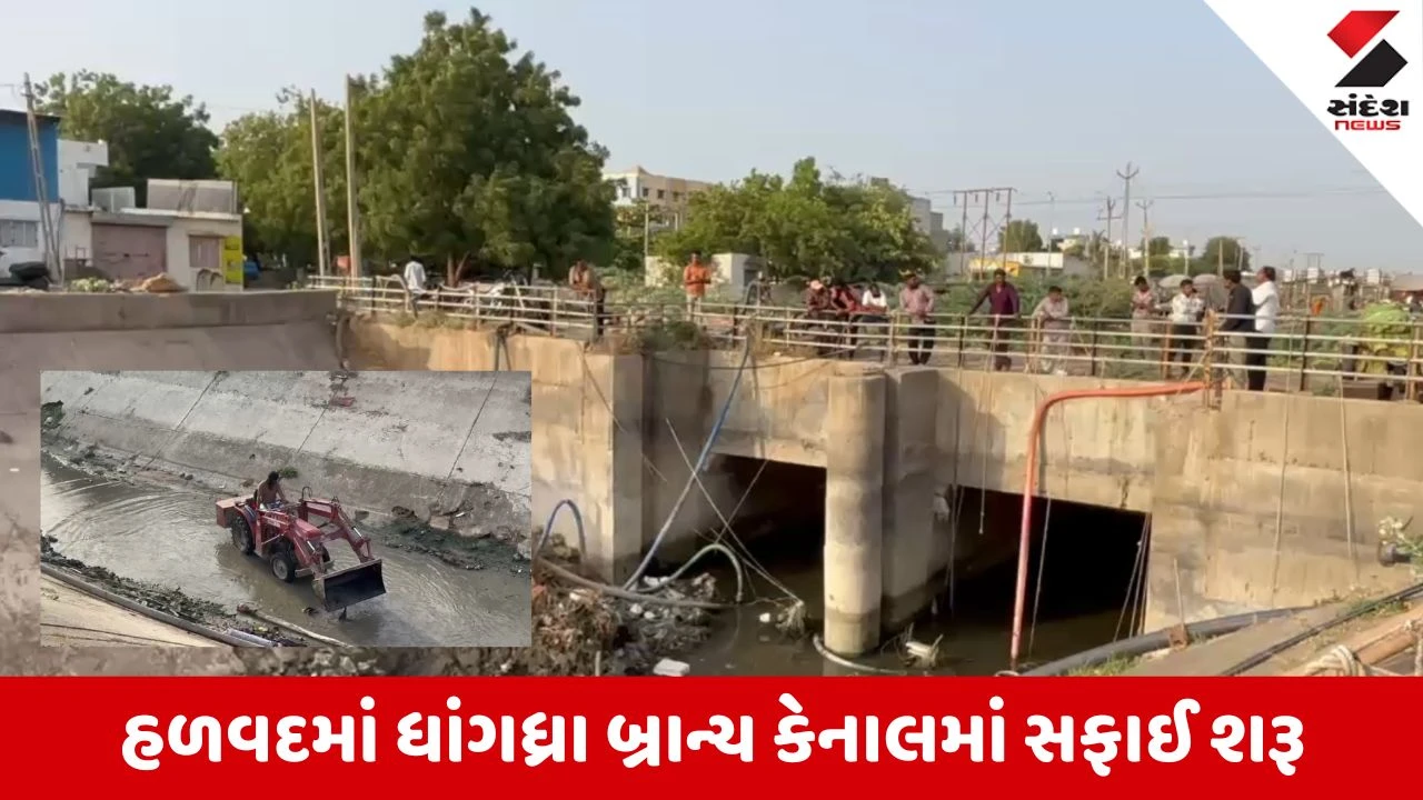 Morbi News: હળવદમાં સંદેશ ન્યૂઝના અહેવાલની વ્યાપક અસર, કલેક્ટરની ફટકાર બાદ પાલિકા તંત્ર દોડતું થયું