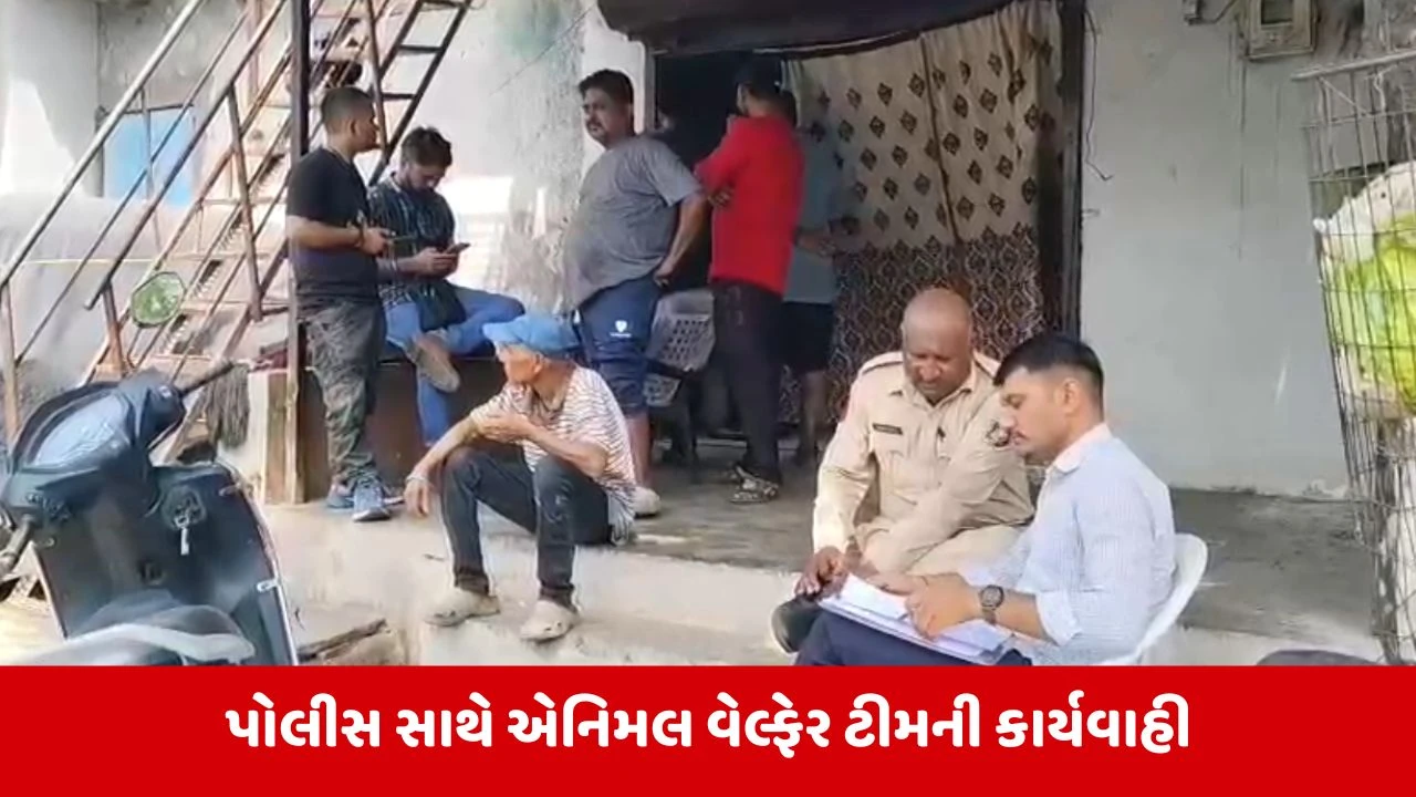 Vadodara : સંજયનગરમાં ગેરકાયદેસર કતલખાનું ઝડપાયું, 150થી 200 કિલો માંસ જપ્ત