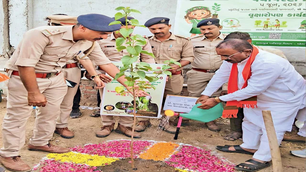 મહેસાણાના બહુચરાજી તાલુકામાં વન વિભાગ દ્વારા વૃક્ષારોપણ કાર્યક્રમ યોજાયો