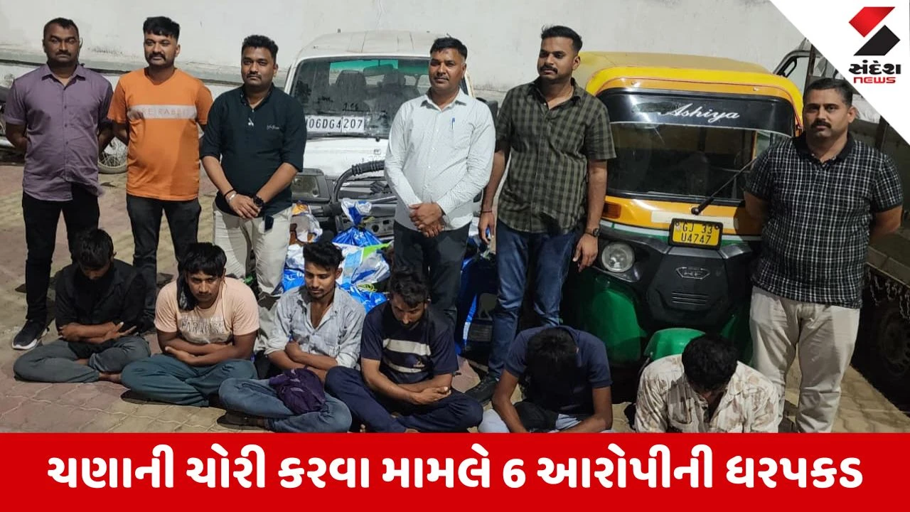 Botad News: સરકારી ગોડાઉનમાં ખાડો કરીને 120 બોરી ચણાની ચોરસ, 6 આરોપીની ધરપકડ