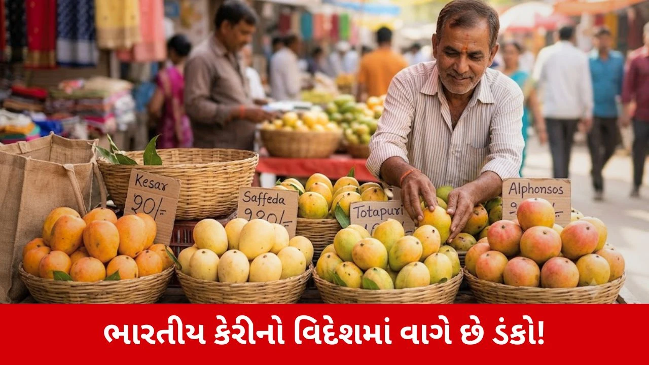 Mango Export : જાપાન સિવાય બીજે ક્યાં એક્સપોર્ટ થાય છે ભારતીય કેરી?
