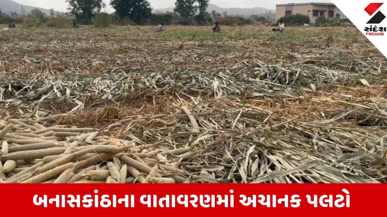 Banaskantha: વાવ-થરાદ પંથકમાં વાતાવરણમાં અચાનક પલટો, વહેલી સવારથી કાળા ડિબાંગ વાદળો છવાતાં ખેડૂતોમાં ચિંતા