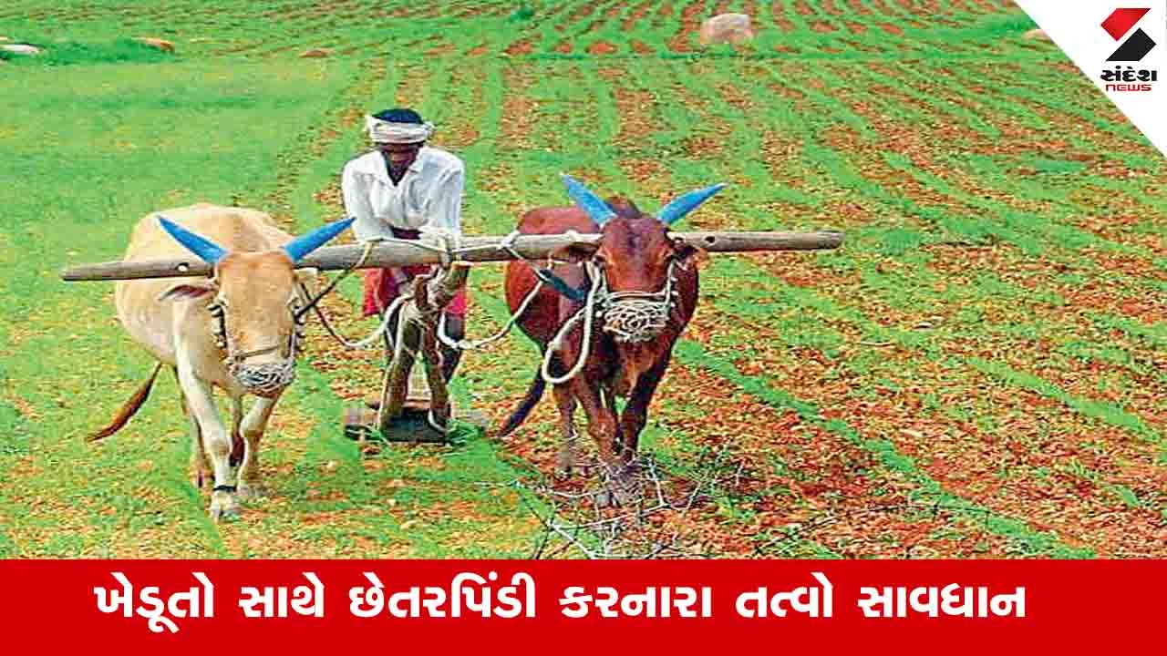 Gujarat News: બિયારણ કે ખાતરના વેચાણમાં ગેરરીતિ કરતા તત્વો હવે સીધા જેલ ભેગા થશે