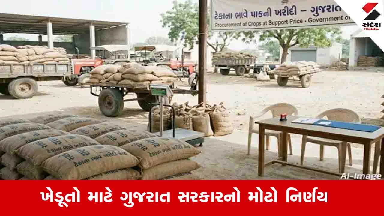 Gandhinagar News: સરકારે મકાઈ, બાજરી અને જુવારની ટેકાના ભાવે ખરીદીની મર્યાદામાં વધારો કર્યો