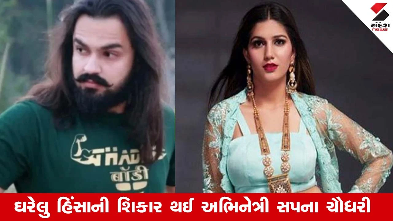 Sapna Choudharyના પતિ પર કોર્ટે કેમ લગાવ્યો મોટો પ્રતિબંધ? જાણો દિલ્હી કોર્ટનો કડક ચુકાદો