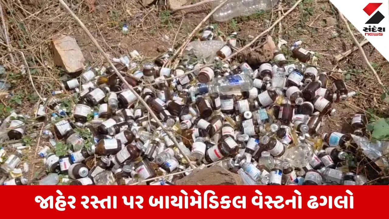 Vadodara News: શિનોરના સાધલી રોડ પર ખુલ્લામાં મળ્યો બાયોમેડિકલ વેસ્ટનો જથ્થો, માનવ અને પશુઓના આરોગ્ય સામે મોટું જોખમ!