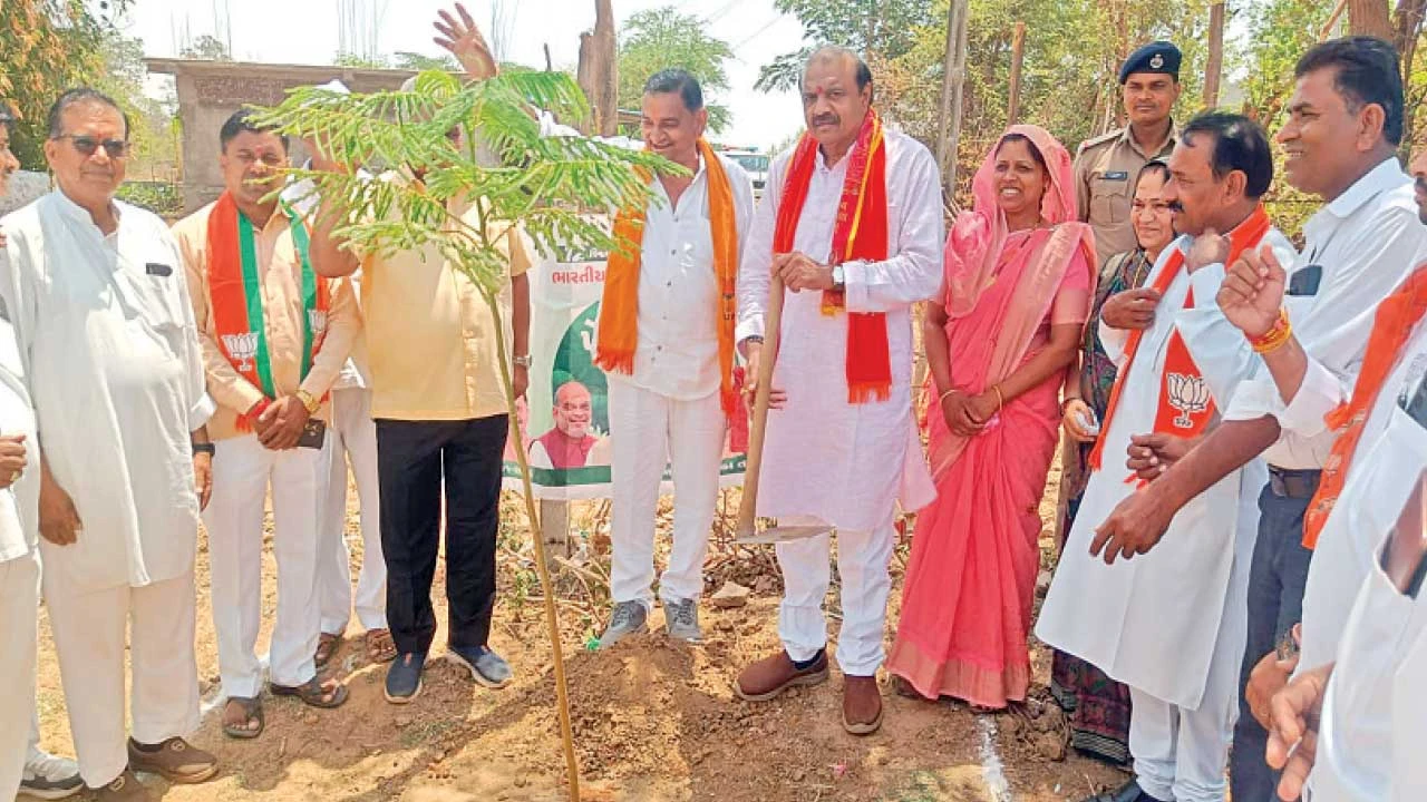 દાહોદના મોટી બાંડીબાર ગામે "એક પેડ મા કે નામ" અભિયાન હેઠળ વૃક્ષારોપણ કાર્યક્રમ સંપન્ન