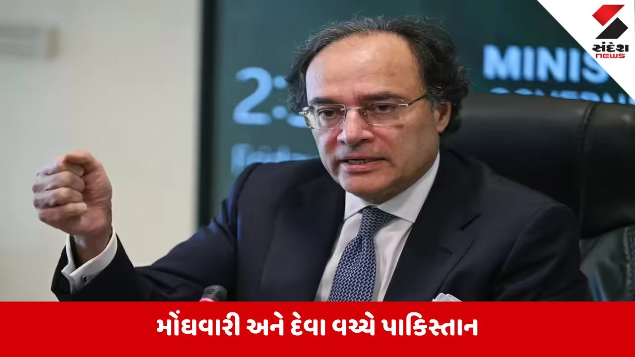 Pakistan Economy: કંગાળીના દોરમાંથી બહાર નીકળી શકશે પાકિસ્તાન?