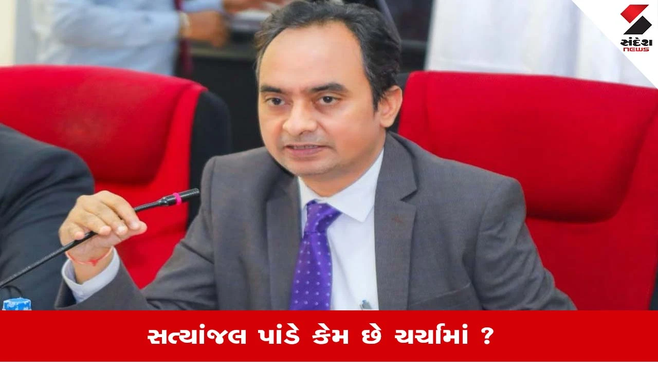 કોણ છે Satyanjal Pandey, કેમ મોકલાયા શ્રીલંકાથી ઇસ્લામાબાદ, જાણો શું છે કારણ?