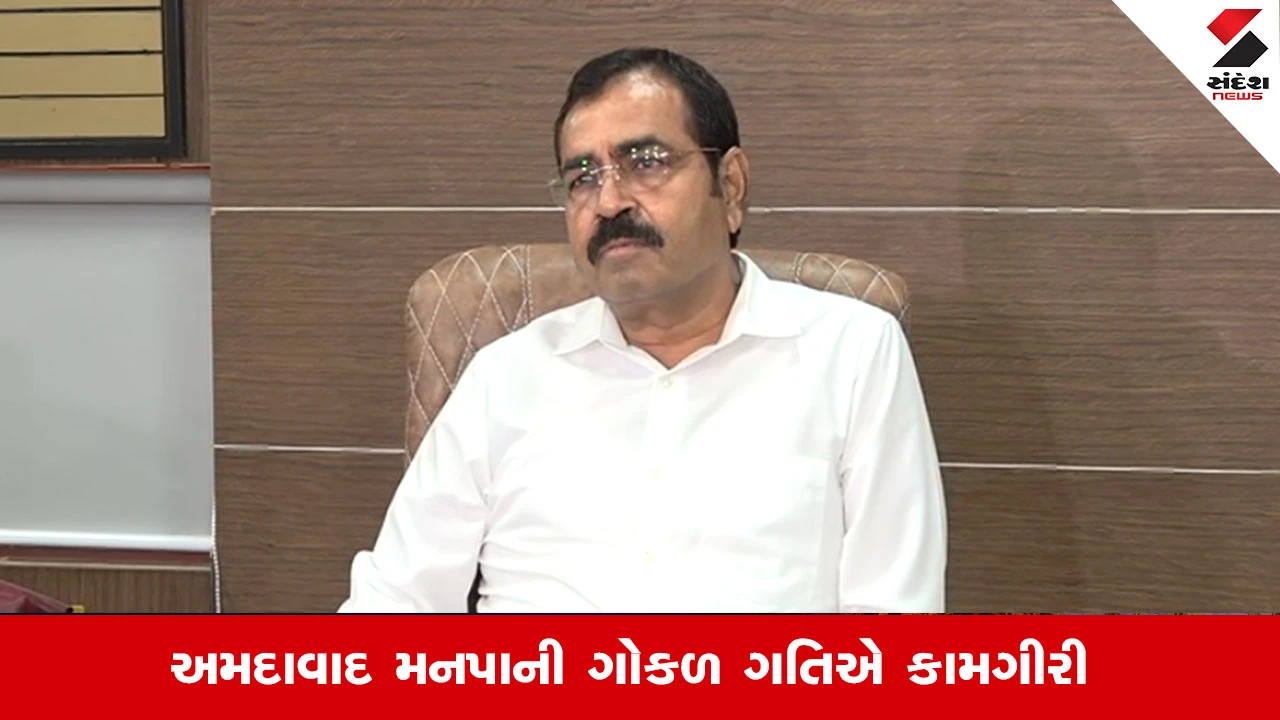 Ahmedabad News:  શહેરમાં 16 મોટા ખાડામાંથી માત્ર 9 જ પૂરાયા, જાણો સ્ટેન્ડિંગ ચેરમેને શું કહ્યું?