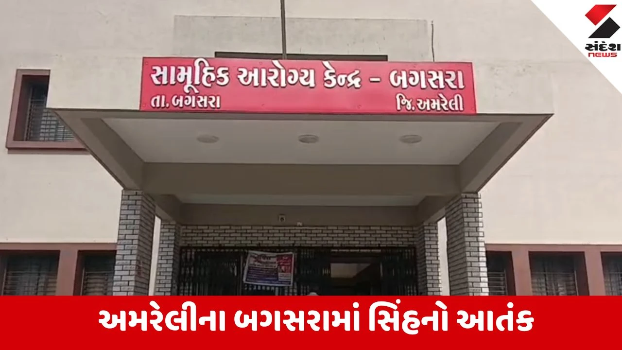 અમરેલીના ઘંટિયાણ ગામમાં સિંહ પરિવારે 7 વર્ષના બાળકને ફાડી ખાધો