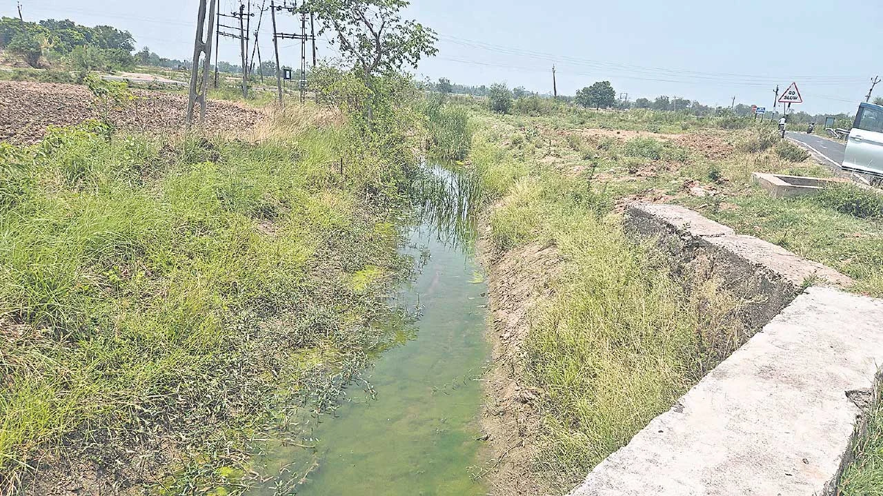 લુણાવાડા સિંચાઈ કેનાલોની દુર્દશા: ખેડૂતો હાલાકીમાં, તંત્રની બેદરકારી
