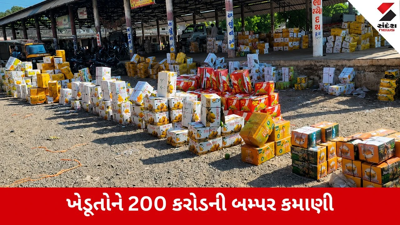 Gir Somnath : ગીરની કેસરનો વૈશ્વિક ડંકો, તાલાલા યાર્ડમાં 55 દિવસમાં રેકોર્ડબ્રેક વેચાણ