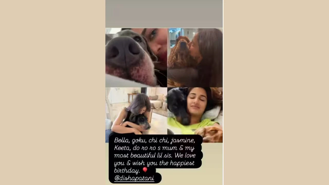 Disha Patani Birthday, Mouni Roy (2)