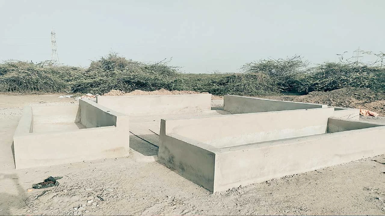 પાટણમાં વન્યજીવો માટે હવાડા તૈયાર, પણ પાણી વિના તરસ્યા: વન વિભાગની ઢીલી નીતિ?